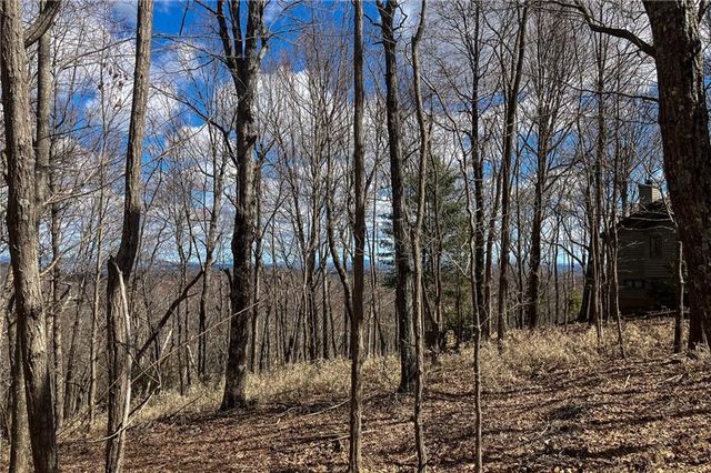 8088 Ridgeview Drive, Big Canoe, GA 30143