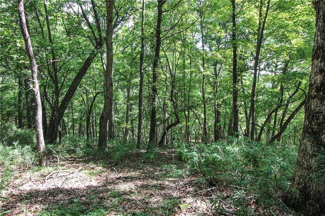 8088 Ridgeview Drive, Big Canoe, GA 30143