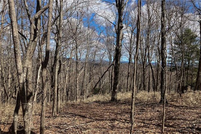 8088 Ridgeview Drive, Big Canoe, GA 30143