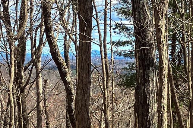 8088 Ridgeview Drive, Big Canoe, GA 30143