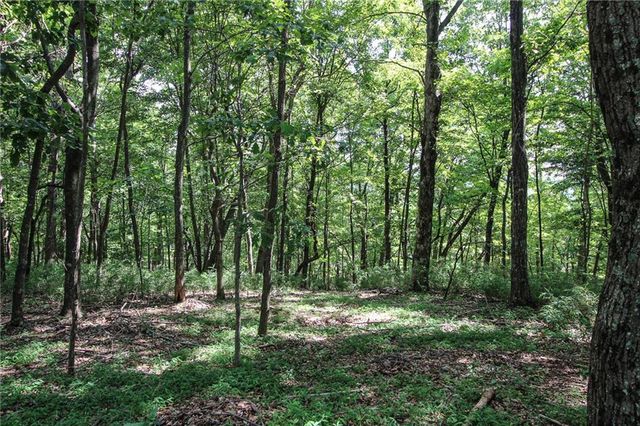 8088 Ridgeview Drive, Big Canoe, GA 30143