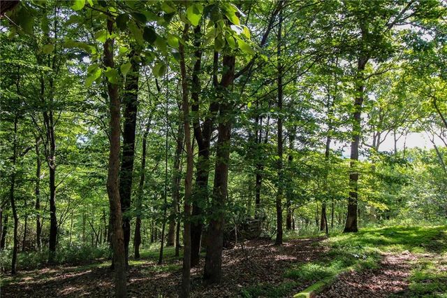 8088 Ridgeview Drive, Big Canoe, GA 30143