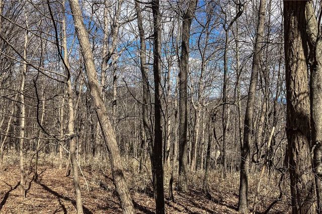 8088 Ridgeview Drive, Big Canoe, GA 30143