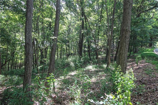 8088 Ridgeview Drive, Big Canoe, GA 30143