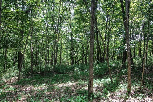 8088 Ridgeview Drive, Big Canoe, GA 30143