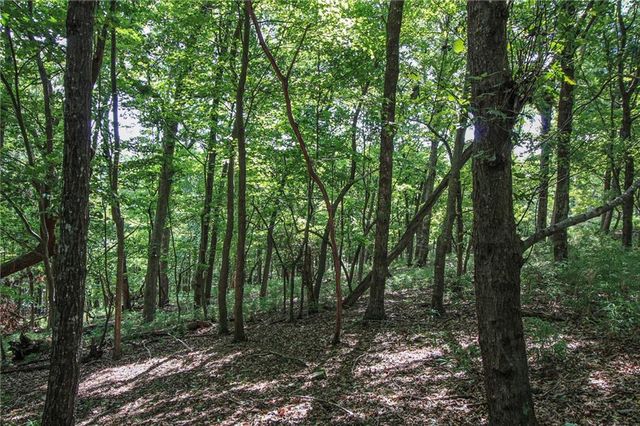 8088 Ridgeview Drive, Big Canoe, GA 30143