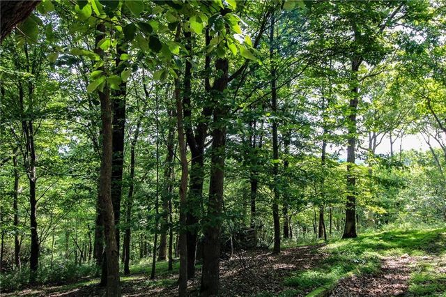 8088 Ridgeview Drive, Big Canoe, GA 30143