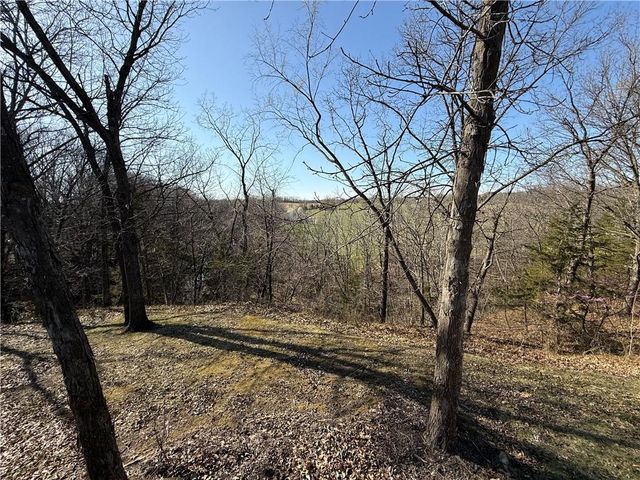 798 Lake Viking Terrace, Altamont, MO 64620