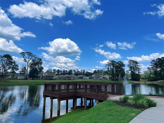 126 Courageous Side Way, Magnolia, TX 77354