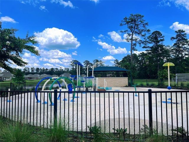 126 Courageous Side Way, Magnolia, TX 77354