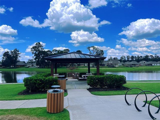 126 Courageous Side Way, Magnolia, TX 77354