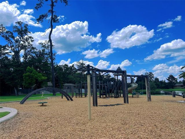 126 Courageous Side Way, Magnolia, TX 77354