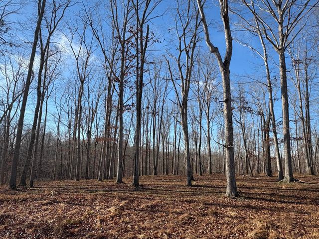 133 Shelton Cemetery Road, Cumberland Furnace, TN 37051