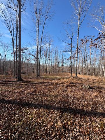 133 Shelton Cemetery Road, Cumberland Furnace, TN 37051