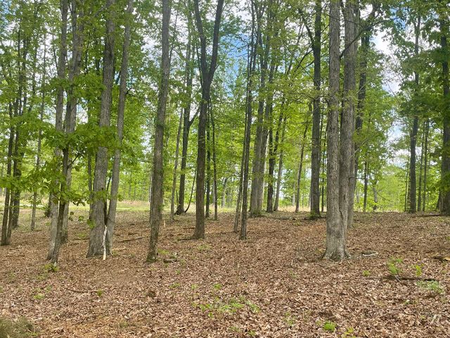 133 Shelton Cemetery Road, Cumberland Furnace, TN 37051