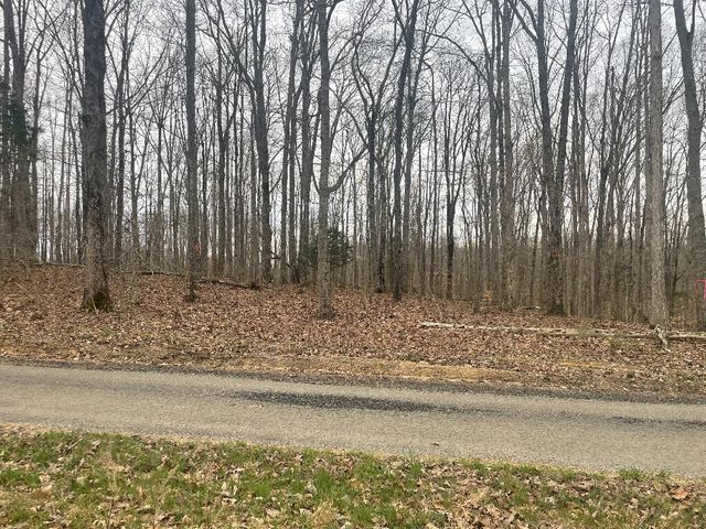 133 Shelton Cemetery Road, Cumberland Furnace, TN 37051