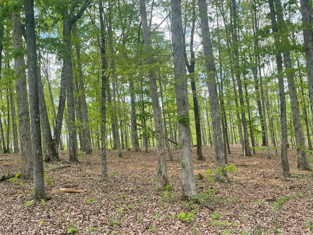 133 Shelton Cemetery Road, Cumberland Furnace, TN 37051