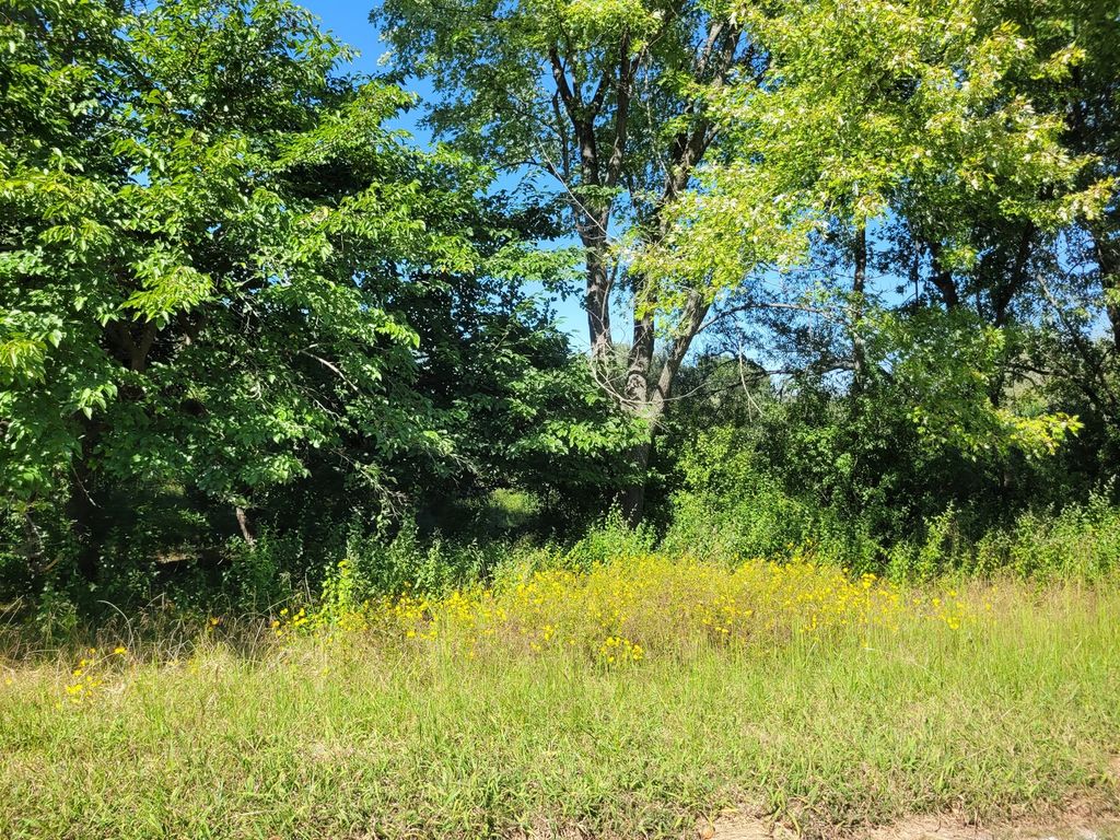 Image 1 of property listing at 0000 E Bunny Farm Road, Mt Vernon, IL 62864
