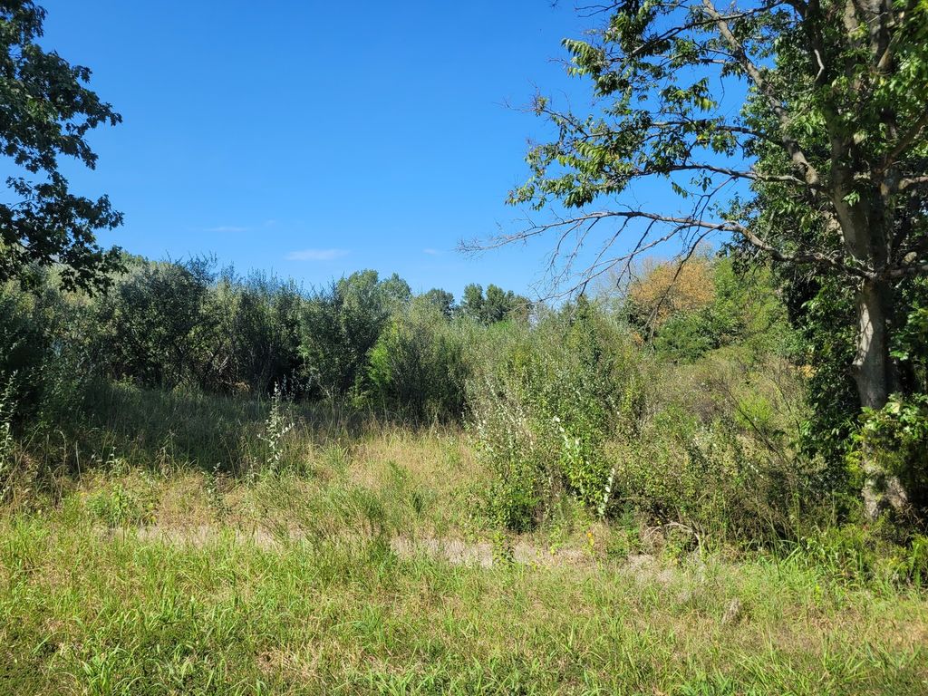 Image 3 of property listing at 0000 E Bunny Farm Road, Mt Vernon, IL 62864