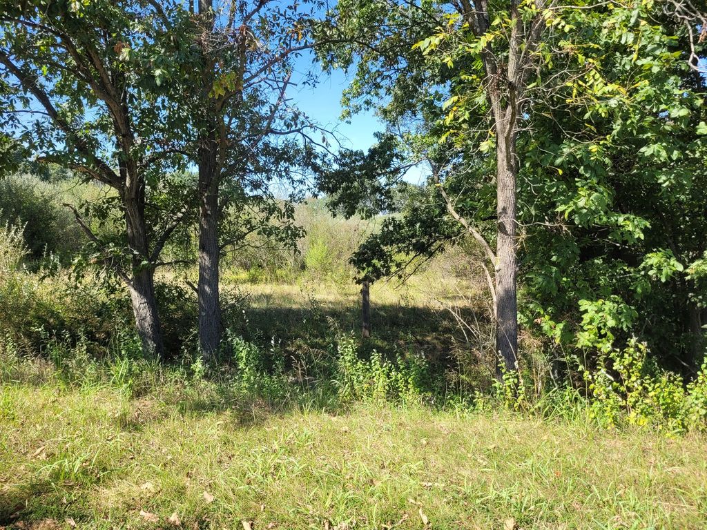 Image 4 of property listing at 0000 E Bunny Farm Road, Mt Vernon, IL 62864