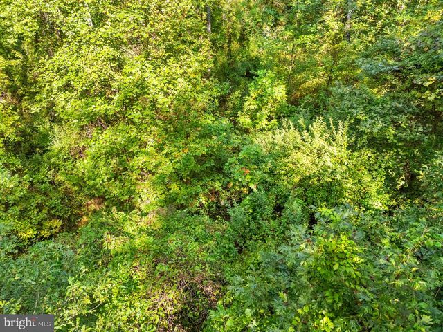 VACANT LAND CABIN BRANCH ROAD, Marshall, VA 20115