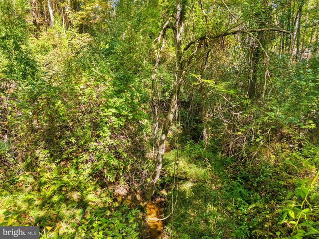VACANT LAND CABIN BRANCH ROAD, Marshall, VA 20115
