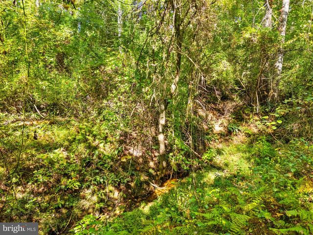 VACANT LAND CABIN BRANCH ROAD, Marshall, VA 20115