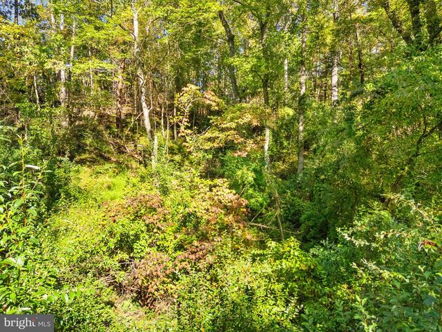 VACANT LAND CABIN BRANCH ROAD, Marshall, VA 20115