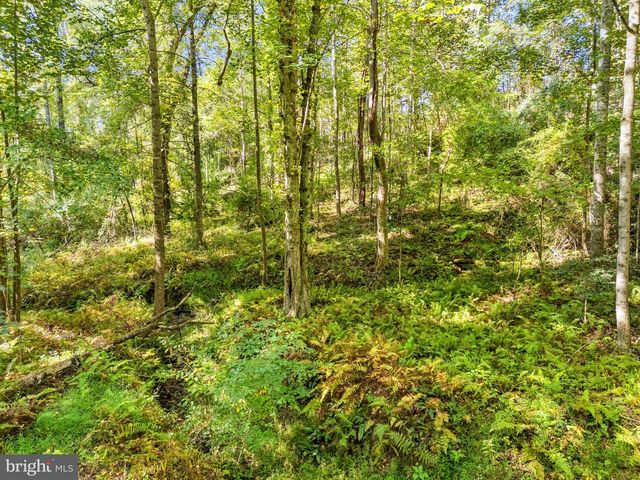 VACANT LAND CABIN BRANCH ROAD, Marshall, VA 20115