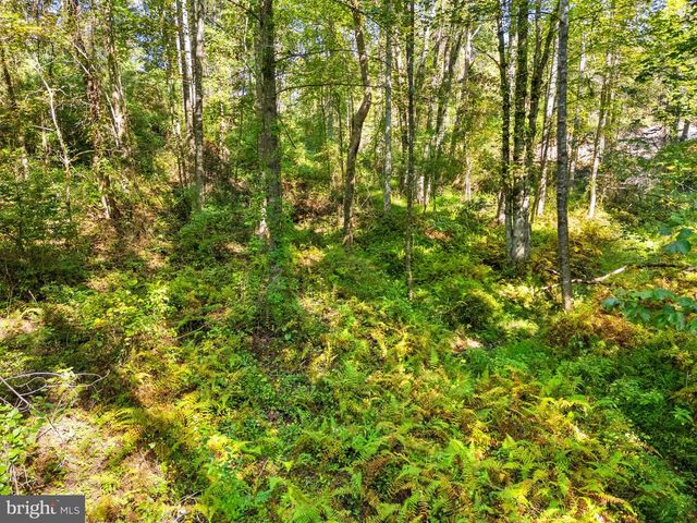 VACANT LAND CABIN BRANCH ROAD, Marshall, VA 20115