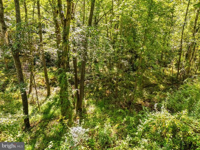 VACANT LAND CABIN BRANCH ROAD, Marshall, VA 20115