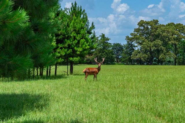 3860 Fm 2259, Nacogdoches, TX 75961