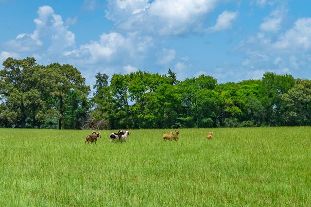 3860 Fm 2259, Nacogdoches, TX 75961