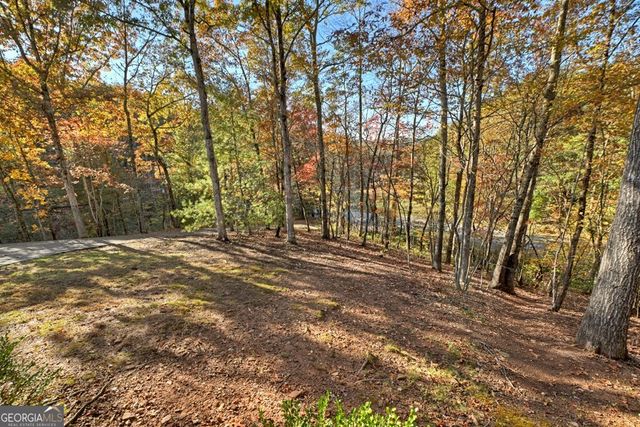 20 Riverwood Drive, Blue Ridge, GA 30513