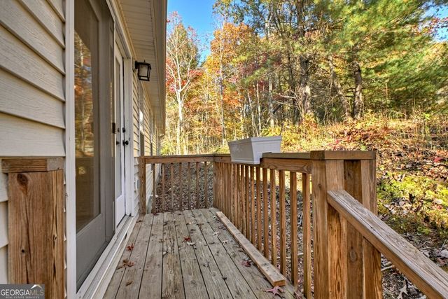 20 Riverwood Drive, Blue Ridge, GA 30513