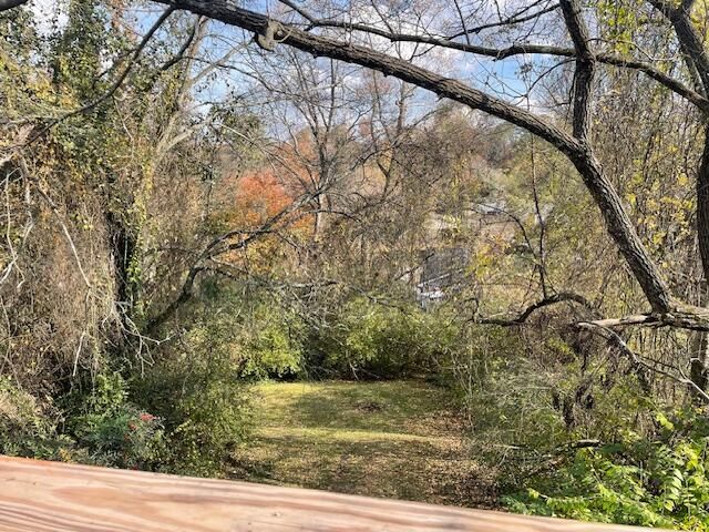 8 Clearview Avenue, Chattanooga, TN 37404