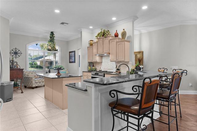 8715 SE 176TH LOWNDES PLACE, The Villages, FL 32162