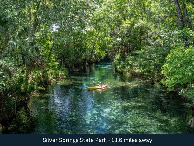 NE 165TH TERRACE, Silver Springs, FL 34488