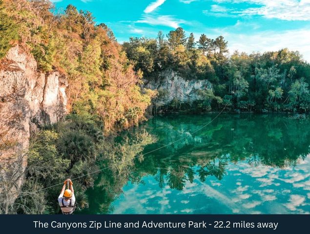 NE 165TH TERRACE, Silver Springs, FL 34488