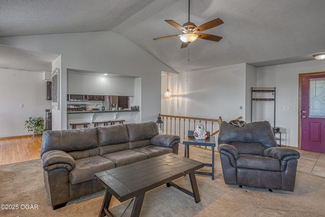 1123 Wilson Street, Webb City, MO 64870