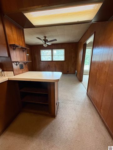 571 St Rt 1949, Symsonia, KY 42082