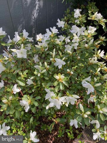 139 S DUKE ST, Lancaster, PA 17602