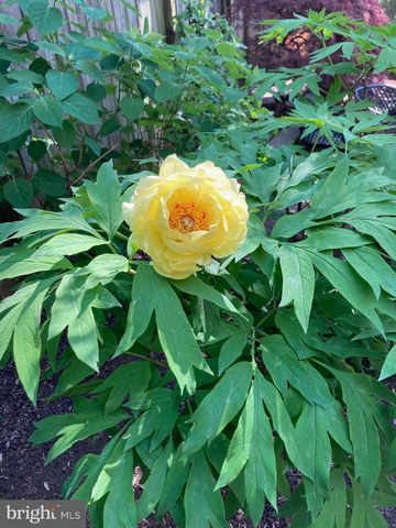 139 S DUKE ST, Lancaster, PA 17602