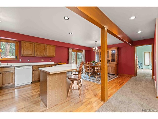 1053 Yellow Pine Dr, Bailey, CO 80421