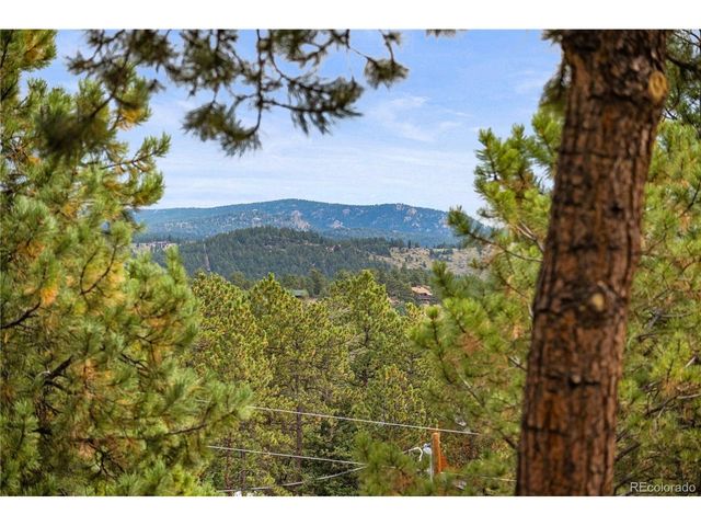 1053 Yellow Pine Dr, Bailey, CO 80421