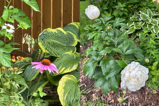 10512 Florida Avenue N, Brooklyn Park, MN 55445