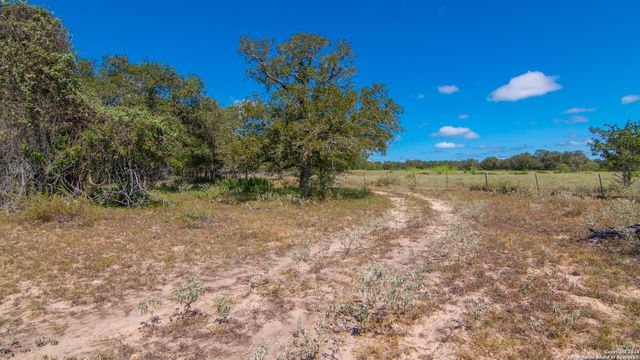 TBD County Road 434, Stockdale, TX 78155