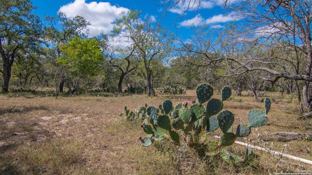 TBD County Road 434, Stockdale, TX 78155