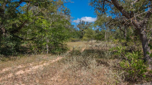 TBD County Road 434, Stockdale, TX 78155