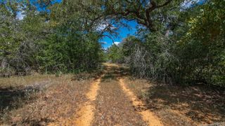 TBD County Road 434, Stockdale, TX 78155